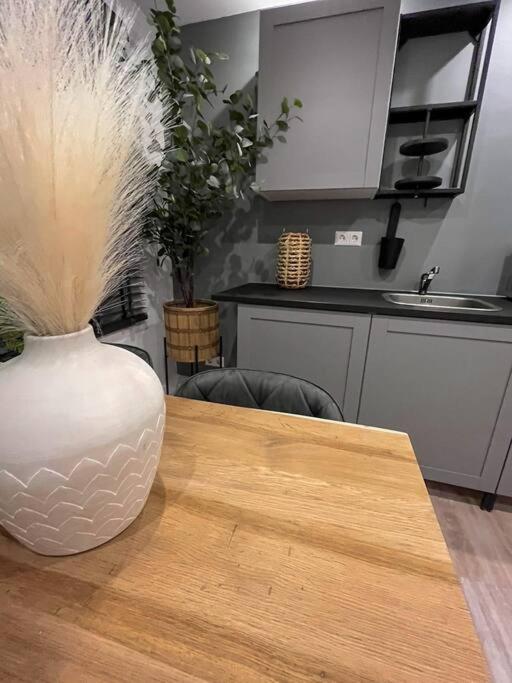 Gezellig Appartement, Gerenoveerd Eind 2022 Tilburg Exteriör bild